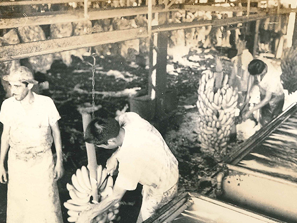 Trabajadores de época en compañía bananera