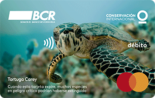 Su cuenta con la tarjeta Carey del BCR