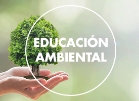 Alianza Educación Ambiental