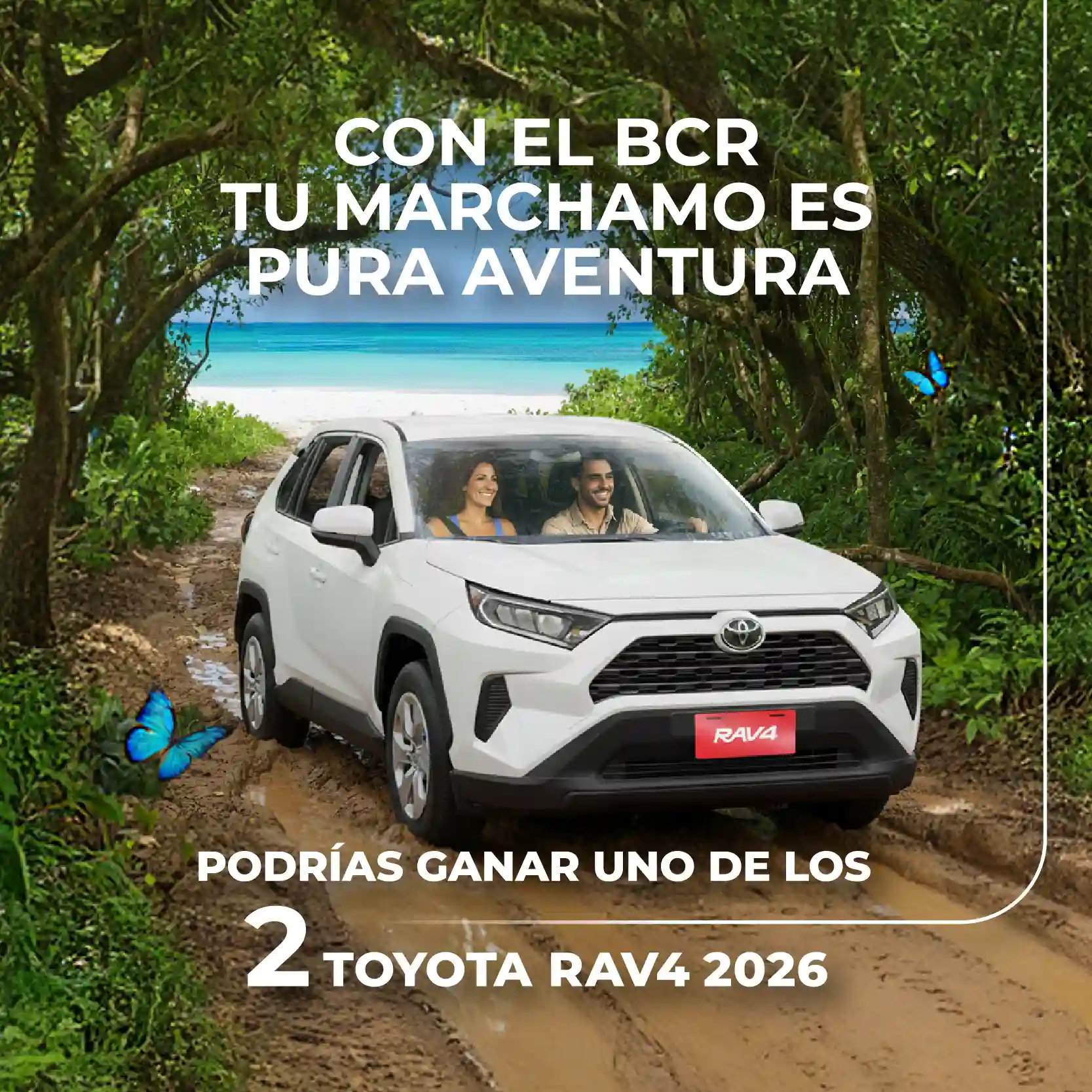 Con el BCR tu marchamo es pura aventura. Podrías ganar uno de los dos toyotas rav4 2026