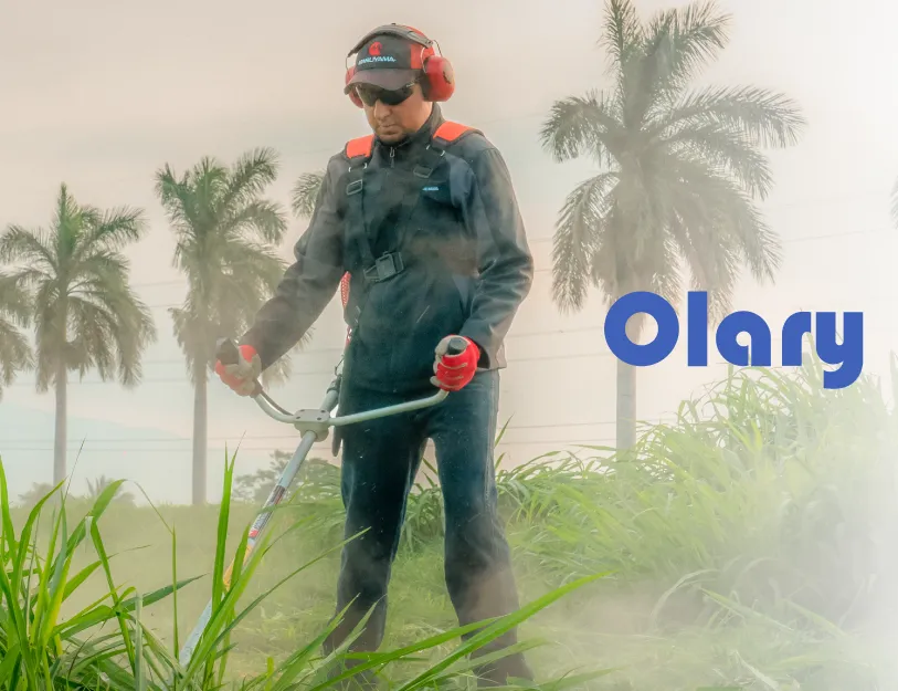 Pomoción Olary