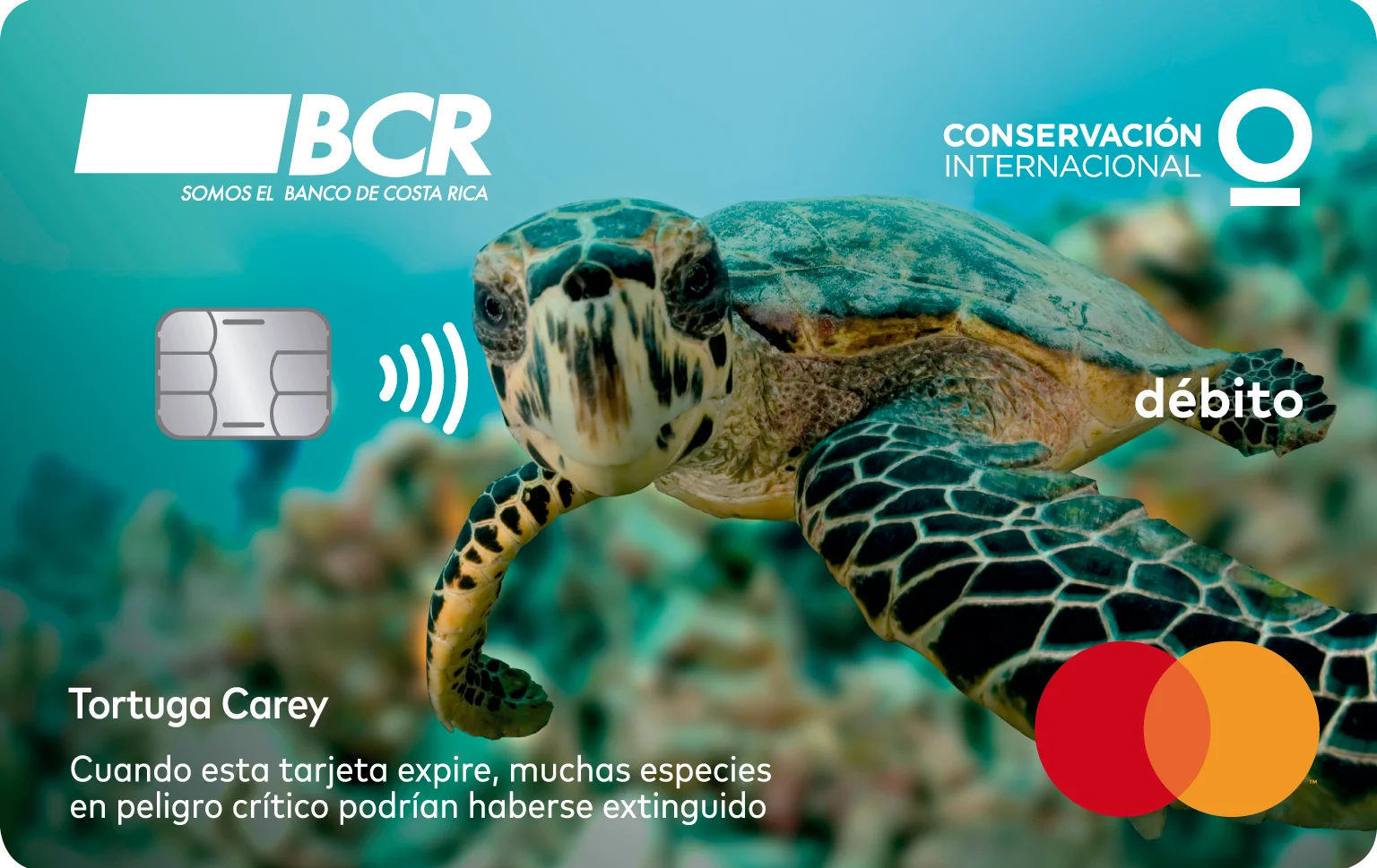Imagen de la tarjeta de débito Mastercard Carey