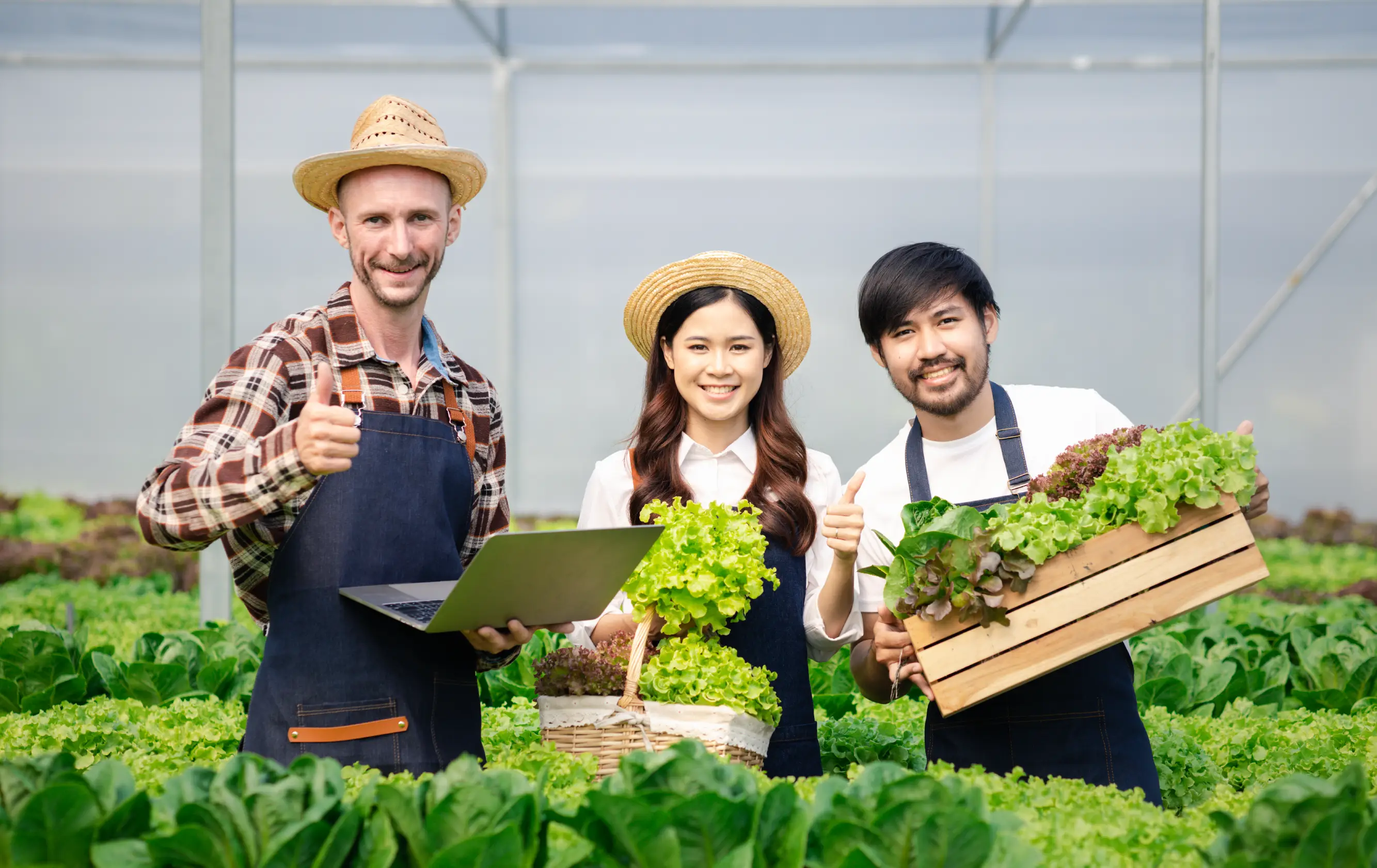 Personas productoras agrícolas en invernadero mostrando cosecha fresca con actitud positiva.
