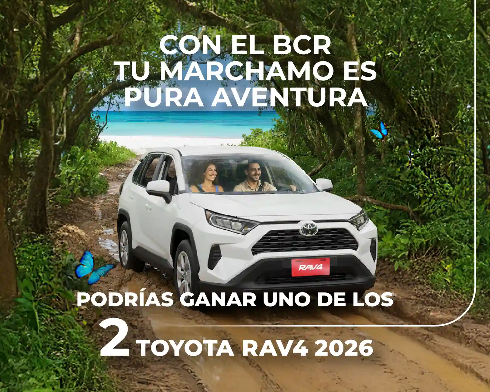 Con el BCR tu marchamo es pura aventura. Podrias ganar uno de los 2 Rav4 2026.