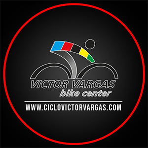 LOGO CICLO VARGAS 