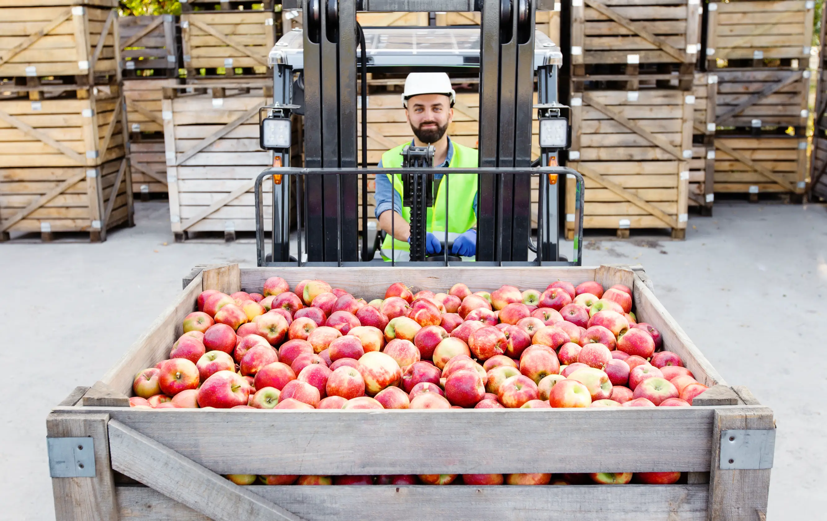 Trabajador operando un montacargas transportando una caja llena de manzanas en un almacén