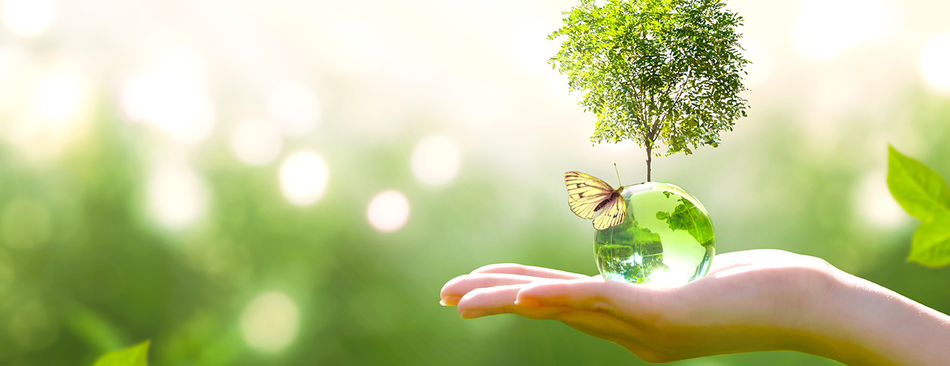 Banner Educación Ambiental