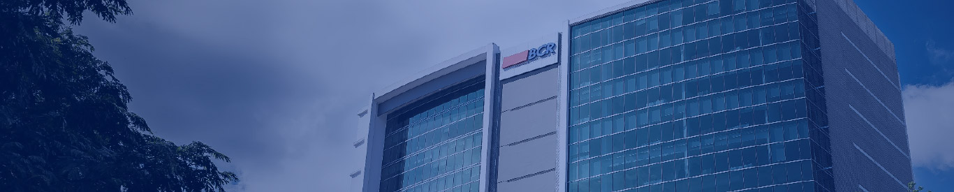Banner de Seguros Colectivos del BCR
